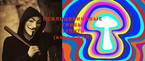 молекула духа Карпинск