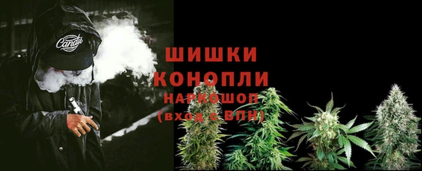 стаф Касимов