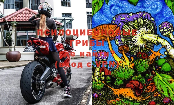 молекула духа Карпинск