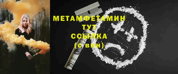 стаф Касимов