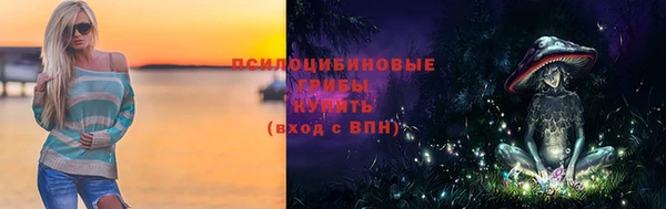стаф Касимов