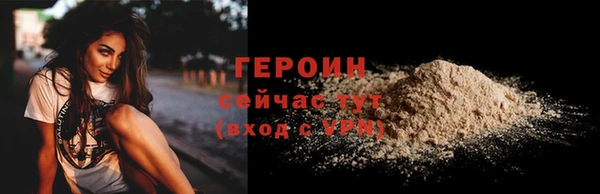 стаф Касимов