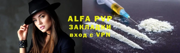 стаф Касимов