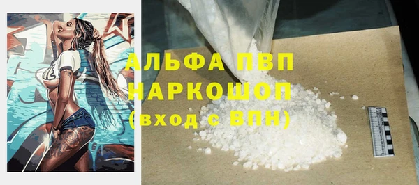 стаф Касимов