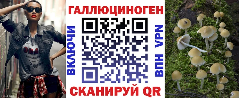 Галлюциногенные грибы Psilocybine cubensis  Купить закладки  Верхний Тагил 